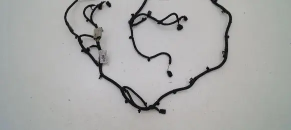 Ford Kuga II Other wiring loom
