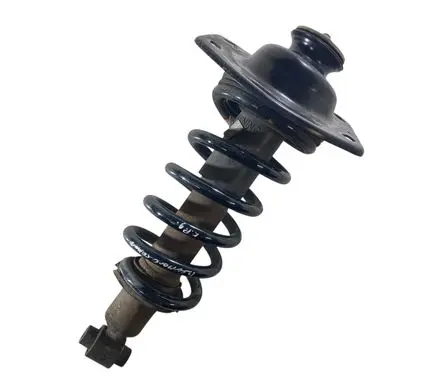 Chevrolet Camaro Rear shock absorber with coil spring 20953581