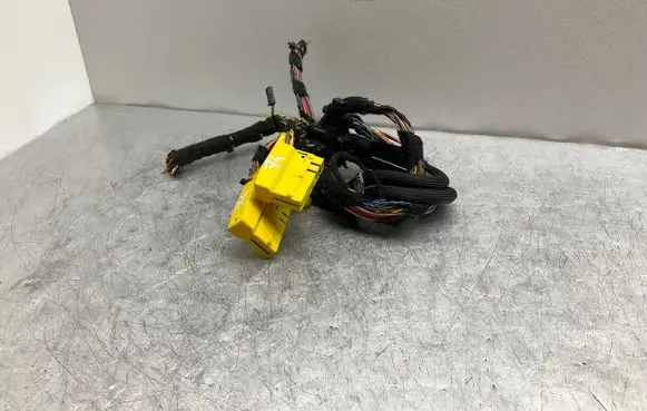 BMW X5 E70 Seat wiring loom 6954588 114524891