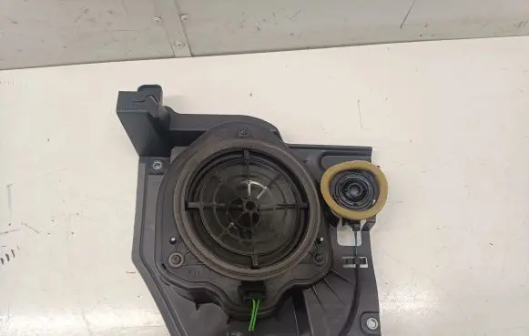 Rear door speaker