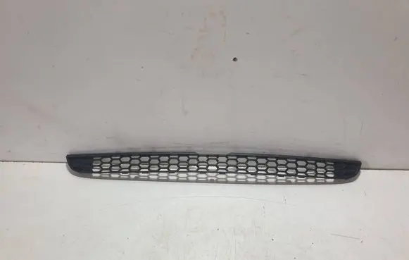 BMW X5 E70 Front bumper lower grill