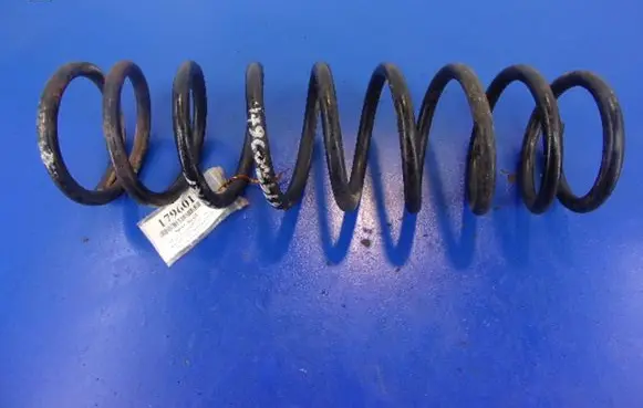 Honda Accord Rear coil spring