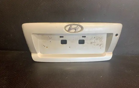 Hyundai Terracan Window washer liquid tank fill tube 87310H1500