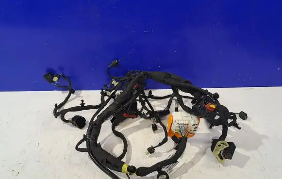 Polestar 2 Other wiring loom 32320006 33836195