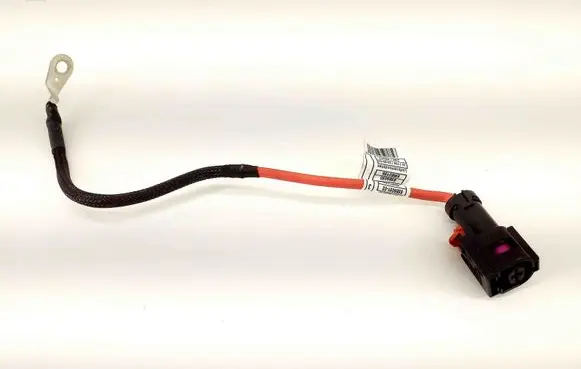 BMW 1 F40 Positive cable (battery) 858905102 8589051