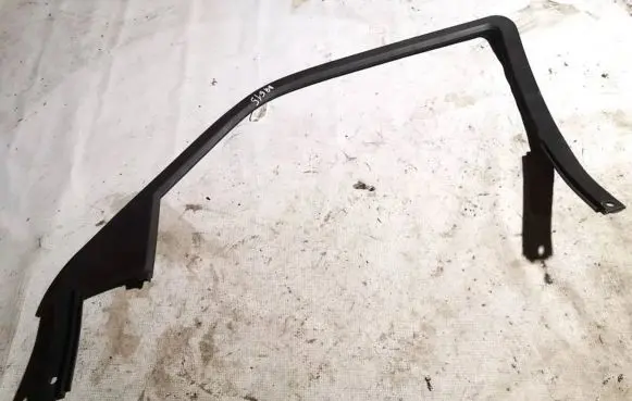 Chrysler 300 - 300C Rubber seal front coupe door 