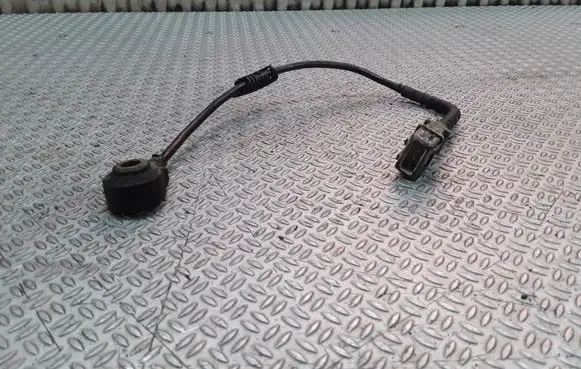 Hyundai Santa Fe Detonation knock sensor 392503E110