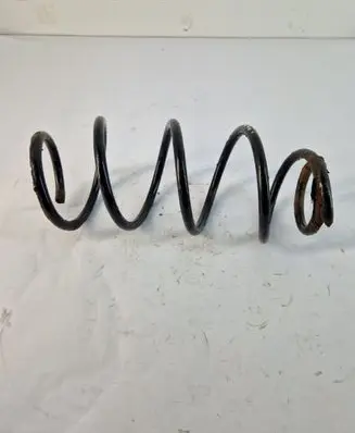 Front coil spring