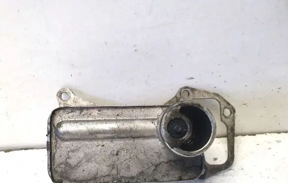 BMW 1 E81 E87 Oil filter mounting bracket 7808437