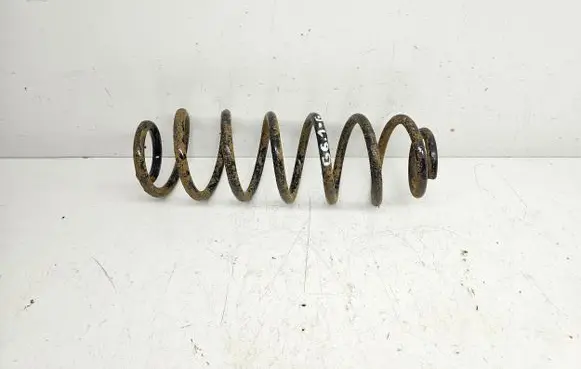 Volkswagen Golf VI Rear coil spring