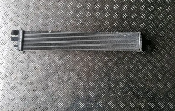 Opel Movano B Coolant radiator 214C10001R