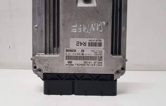 Hyundai Santa Fe Engine control unit/module 391012F300 391162F300 0281019026