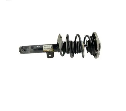 BMW 3 GT F34 Front shock absorber with coil spring 6867450 31316867450