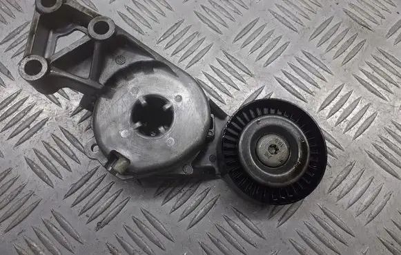 Seat Altea Alternator belt tensioner pulley 