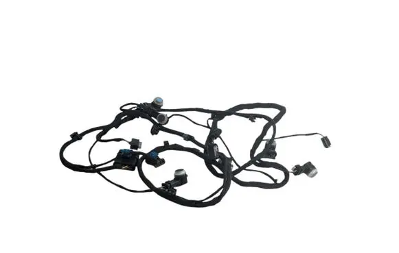Mercedes-Benz S C217 Other wiring loom A2175407116 A0009055504