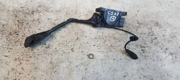 Citroen C5 Accelerator throttle pedal 0280755095
