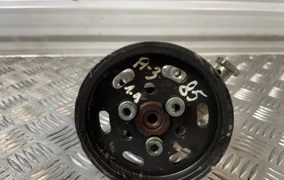 Audi A3 S3 8L Power steering pump 038145255b