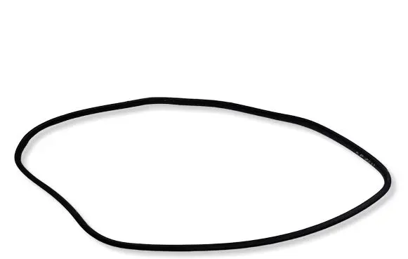 Honda CR-V Rubber seal front door (on door) 