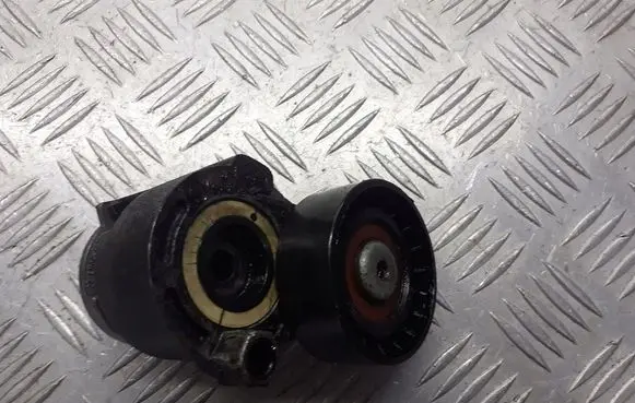 Renault Megane II Alternator belt tensioner pulley 8200608550