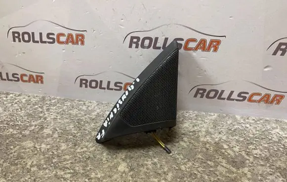 Opel Insignia A Front door high frequency speaker 13240950 110607