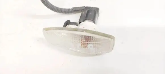 KIA Carnival Front fender indicator light