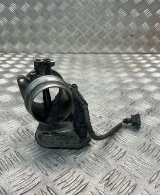 BMW X1 E84 Throttle valve 7804373
