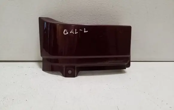 Rear/tail light trim molding