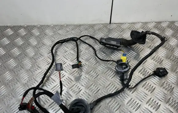 Audi A5 Sportback 8TA Front door wiring loom 8T8971030M
