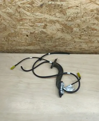 Renault Austral Other wiring loom 240516383R