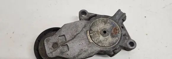 Citroen C3 Generator/alternator belt tensioner