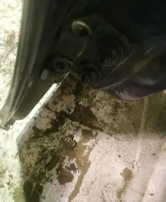 BMW 1 E81 E87 Rear door lower hinge 