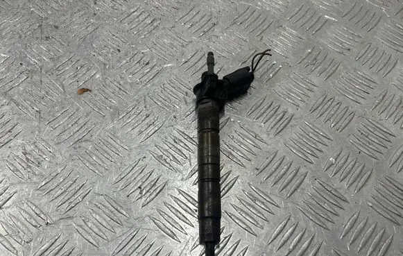 BMW X1 E84 Fuel injector 7805430 0445117017