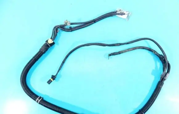 Engine installation wiring loom