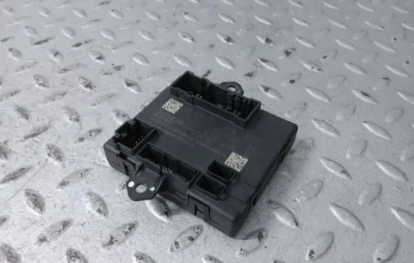 BMW X1 U11 Door control unit/module 5B79166 61355B79166