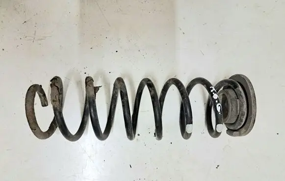 Rear coil spring