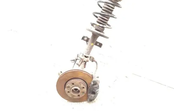 Renault Clio III Front wheel hub spindle knuckle