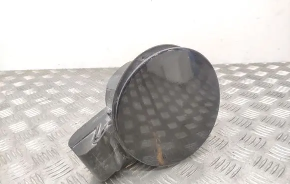 Hyundai Santa Fe Fuel tank cap 695132W000