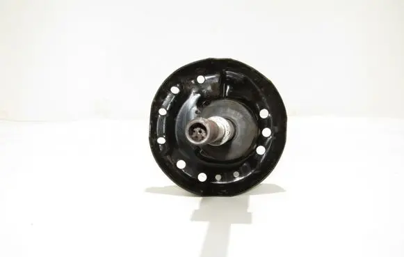 Opel Insignia A Front shock absorber/damper 22951838