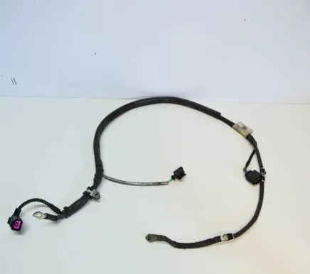 Other wiring loom