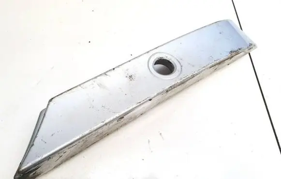 Rear/tail light trim molding