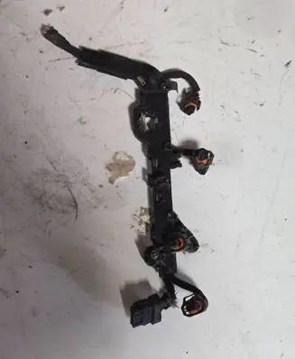 Citroen Berlingo Fuel injector wires 965456038003
