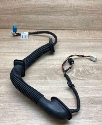 Front door wiring loom