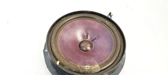 Volkswagen PASSAT B5 Front door speaker 3B0035411A