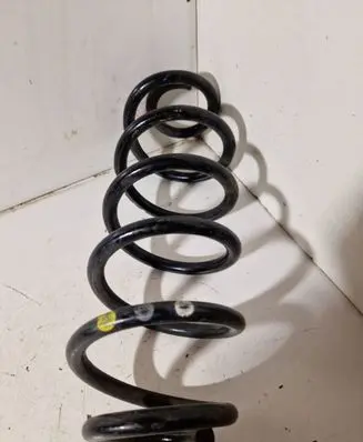 Rear coil spring