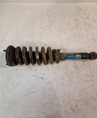 KIA Sorento Front shock absorber with coil spring 814902003344 313523 30H93A