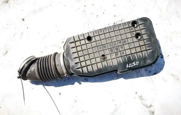 Intake resonator