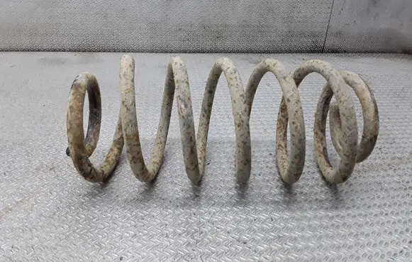 Jeep Grand Cherokee (WJ) Rear coil spring