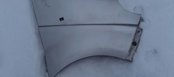 Renault Trafic II (X83) Fender