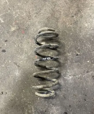 Rear coil spring