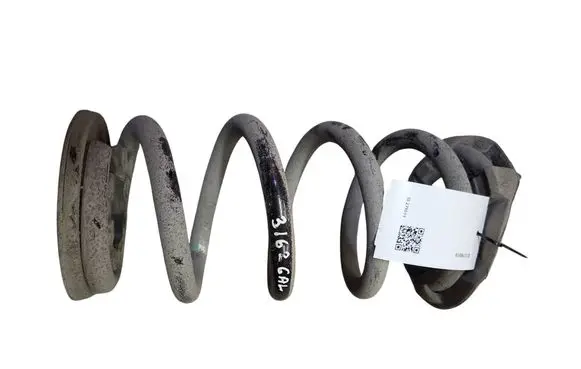 Tesla Model Y Rear coil spring 118847400B